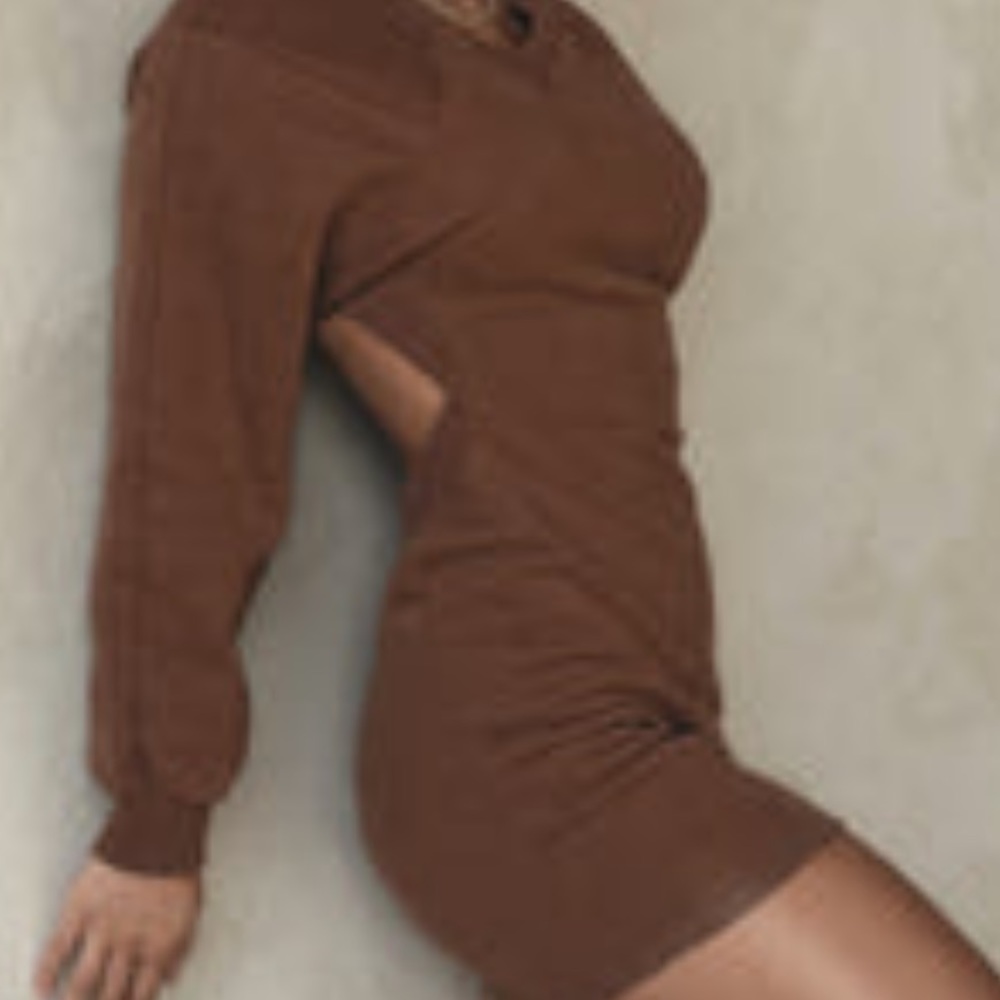 brown crewneck dress NEVER WORN!